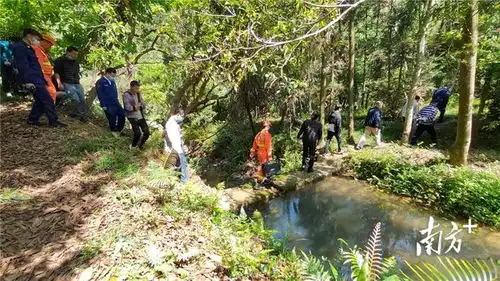 群防群治织密森林防火网的中山战法
