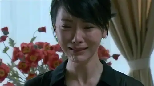 陈数黄磊电视剧照片黄磊
