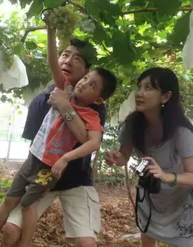 揭金粉世家主演现状董洁遭婚变刘亦菲爆红
