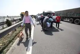 山东高速堵车5小时乘客路上遛狗野炊