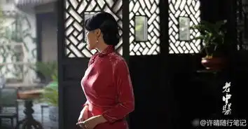 许晴的老中医戏份完工,这组剧照是她今年最美的图片
