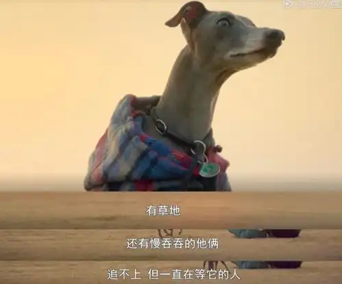 想要生活甜蜜又美好,请牵好ta的手