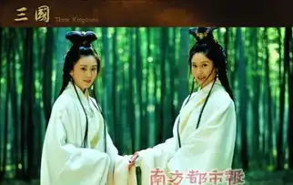 新三国演义的演员剧照
