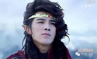 谜之妆容和服装谜之特效和画面幻城硬生生拍成了巴啦啦小魔仙啊
