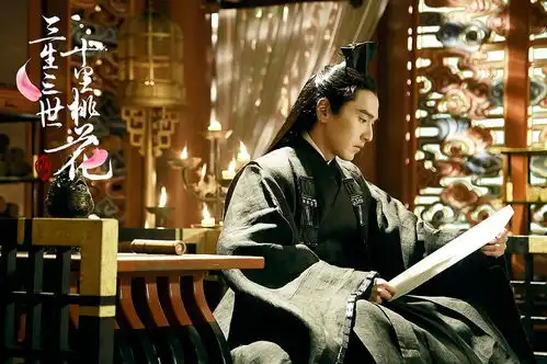 我的收藏
