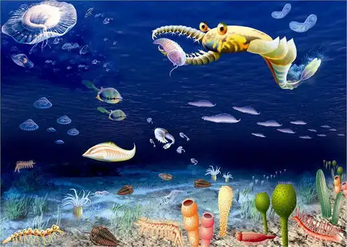 寻一个寒武纪生物大爆发相关的纪录片

