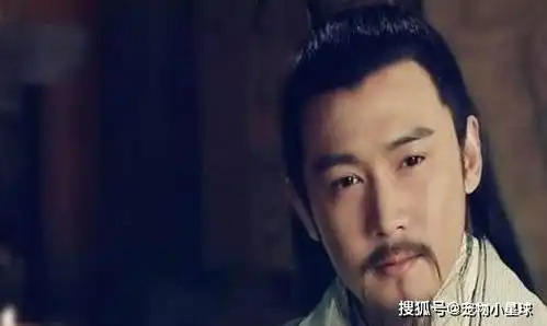 事必躬亲,诸葛亮死后,蜀国就再也没有力量与魏国对抗
