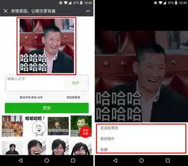 无法转发小程序里的表情包终极解决办法在这里

