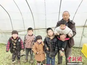 突发变故祖孙6人蜗居大棚众人合力筑安心回家路
