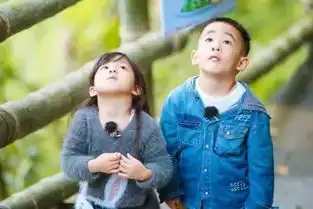 网综进入战国时代超级网综频出,圈层文化大众化表达
