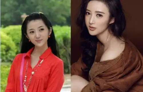 一起来看流星雨三大女演员现状,郑爽热度不断,她却隐退多年
