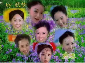请问谁有欢天喜地七仙女的剧照
