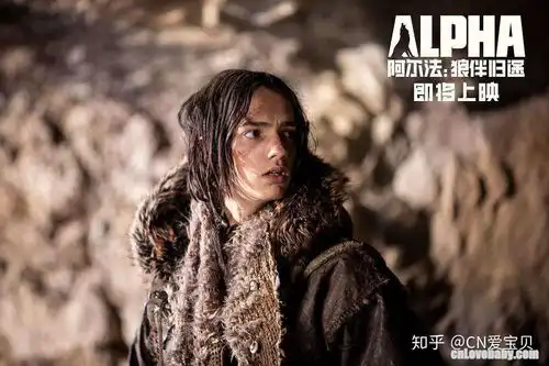 解读阿尔法狼伴归途儿子比狗强
