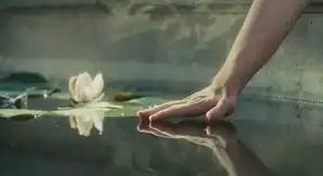 赎罪截图
