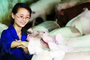 美女大学生竟成养猪公主
