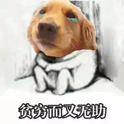 七夕一过穷如狗,总是不如别家男朋友,赚大钱的不单单要靠勤奋啊