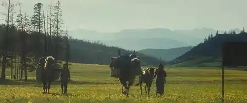 不要画蛇添足我的阿勒泰赞声一片,观众担心点却出奇一致
