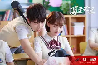 夏至未至演员角色介绍夏至未至各主演结局

