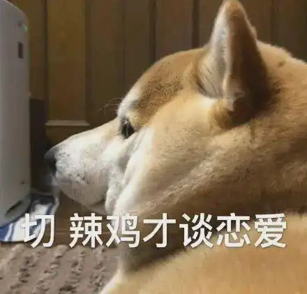 切,垃圾才谈恋爱丨第319期喵表情