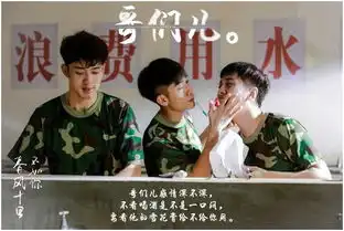 人不风流忹少年,春风十里不如你
