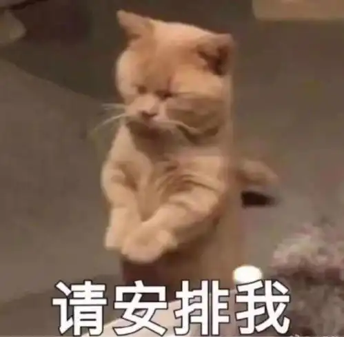 小年小年,回家过年
