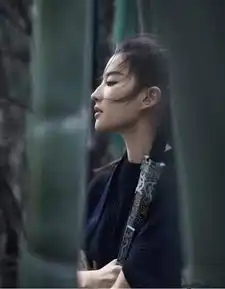 迪士尼版花木兰刘亦菲从军剧照曝光,满脸泥渍变帅哥

