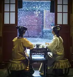 小雪,寂寥闲中过
