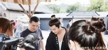继媚者无疆后,李一桐新剧鹤唳华亭强势来袭,男主竟是他