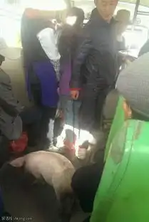 搞笑图片有时觉得自己活得还不如汪星人
