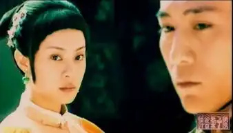 十部经典剧造就电视女王孙俪
