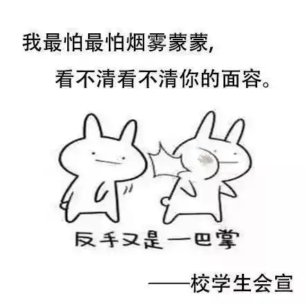 买烟找我表情包