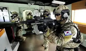 蒙羞韩国上千特种兵被曝卷入保险诈骗丑闻
