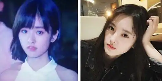 新流星花园沈月和鞠婧祎很像再这样下去是不是要撞脸郑爽了
