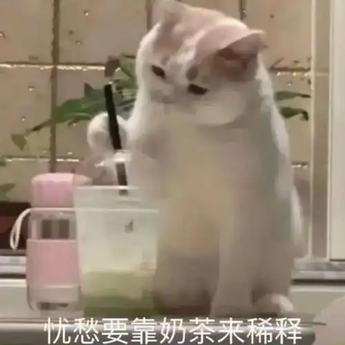 e句话金牌很牛,但她们的第6名同样厉害
