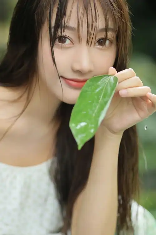 小森林氧气治愈
