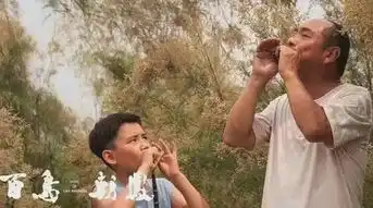 微岸边微感悟互联网阳光,也能恩泽田野
