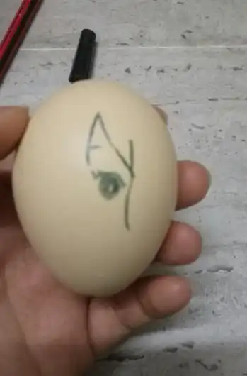 蛋壳画的制作过程怎样