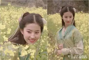 刘亦菲因花木兰入选好莱坞,你怎么看

