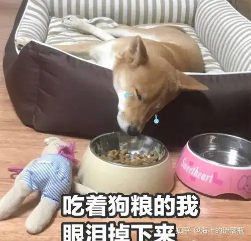 七夕夜单身朋友圈这样发,秒脱单