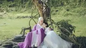 三生三世枕上书配乐琵琶版缘字书
