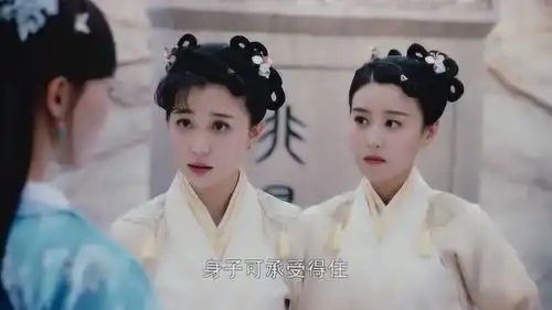 锦绣未央白芷想不明白,高阳王对未央那么好,未央为何不领情呢
