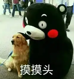 预习520,一年四季都在秀恩爱,嗯,我没说你

