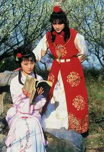 组图87版贾宝玉欧阳奋强发文悼念林妹妹56岁的他如今长这样
