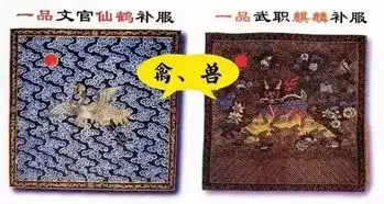 僵尸为什么都穿清朝的官服
