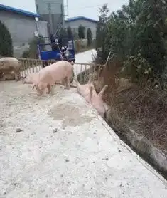 没看过的另类搞笑图片搞笑照片搞笑gif搞笑网一个搞笑网站啪啪网我想网