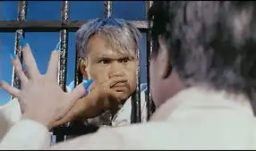 林正英僵尸先生剧照
