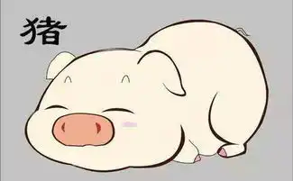 属猪的今年多大2018生肖猪运势