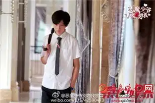 恶魔少爷别吻我第二部安初夏身世揭晓原著安易山为何抛弃初夏母女
