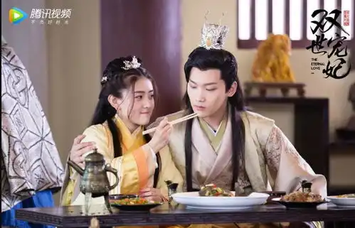 双世宠妃2剧照导演