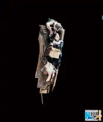 3d泰坦尼克号将上映未公开剧照曝光
